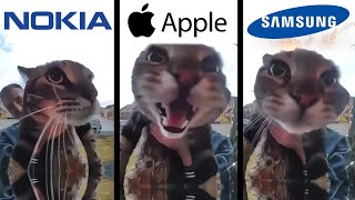 Cat Meows into door camera meme but famous phone ringtones [upl. by Schlicher52]