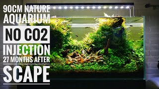 Aquaflora 90cm Nature Aquarium 27 months after scaping [upl. by Amalle]