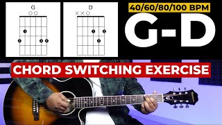 G  D  Chord Switching Exercise for Beginners TimeStamped Lesson [upl. by Eirallam]