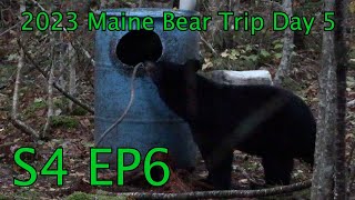 2023 Maine Bear Hunt  Freedom Outfitters S4 EP6 [upl. by Irmina]