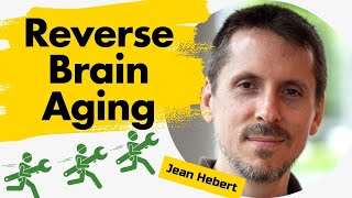 Amazing New Way To Reverse Brain Aging  Jean Hebert  Existential Threads [upl. by Ilaire857]