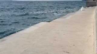 Sea Organ Zadar Croatia [upl. by Anera]