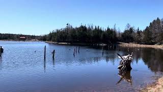 Neds Pond Stephenville Newfoundland [upl. by Hahnert]