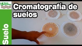 TALLER de ELABORACIÓN de 👨🏻‍🔬👩🏻‍🔬 CROMATOGRAFÍA de 🌱 SUELO de Pfeiffer [upl. by Black673]