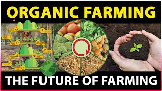 Importance of Organic Farming  What is Organic Farming  Sustainable Agriculture [upl. by Halpern]