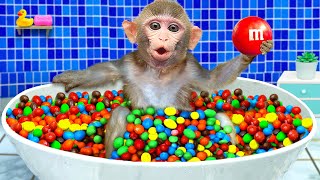 KiKi Monkey bath in the Rainbow BathTub full of MampM candy and play with ducklings  KUDO ANIMAL KIKI [upl. by Felicdad]