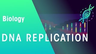 DNA Replication  Genetics  Biology  FuseSchool [upl. by Herrod]