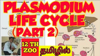 PLASMODIUM LIFE CYCLE PART 2  TAMIL  MOSQUITO  HUMAN HEALTH AND DISEASES  STD 12  TNSCERT [upl. by Nnylak]