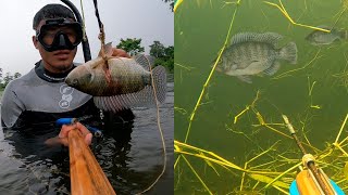 Pescando Por Dos días En Un Hermoso Lugar Cristalino [upl. by Haakon345]