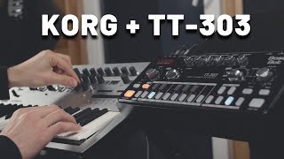 Ambient jam with Cyclone Analogic TT303  Korg Minilogue [upl. by Ornie]