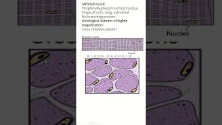 Histology of Skeletal Cardiac and Smooth Muscle An Overview [upl. by Drawdesemaj918]