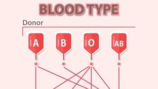 Blood group ll ABO group ll Rh group [upl. by Sorcha712]