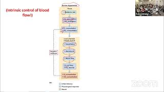 AampP Lecture  Arteries amp Arterioles [upl. by Dreddy]