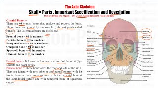 Anatomy amp Physiology 55  Division of Skeletal System  Axial amp Appendicular Skeletal System [upl. by Yeltneb593]