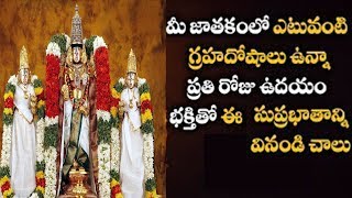 Sri Venkateswara Stotram  Kamalakucha Choochuka Kunkumatho  PicsarTV [upl. by Ajroj285]