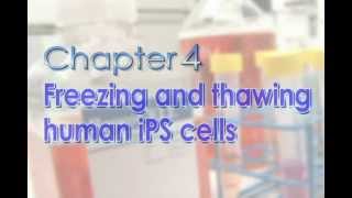 Chapter 4 Freezing and thawing human iPS cells [upl. by Glaab427]