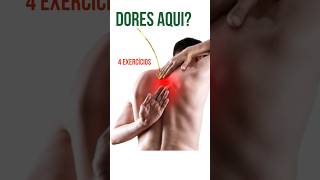 💪🏻 Exercícios para melhorar a mobilidade da escapula omoplata 💪🏻 dorsal fisioterapia [upl. by Miof Mela52]