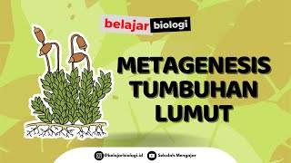 Kingdom Plantae Metagenesis Tumbuhan Lumut  Media Pembelajaran Biologi Kelas X [upl. by Ahseim739]