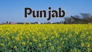 The Tale of Punjab Creating Haryana and Himachal Pradesh Divided Yet United [upl. by Walkling]