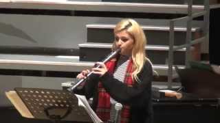 Bohemian Rhapsody on the Electric Recorder Elody [upl. by Oag]