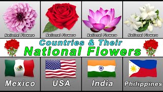 National Flower of the Countries  National flowers [upl. by Valerio]