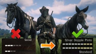 Highest horse level in Red Dead Redemption2 [upl. by Einaoj]