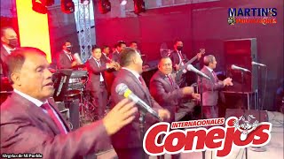 Internacionales Conejos  Mix Merengue 2022 [upl. by Bowra268]