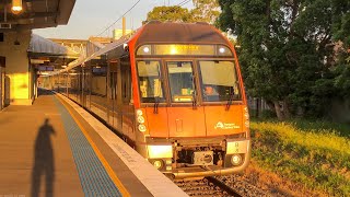 Sydney And Regional Trains Vlog 613 Panania [upl. by Hainahpez228]