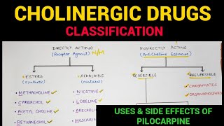 Autonomic Pharmacology  4  Cholinergic Drugs Classification  EOMS [upl. by Attelocin817]