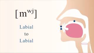 mʷʲ  voiced unaspirated labialized palatalized bilabial nasal stop [upl. by Sparky]