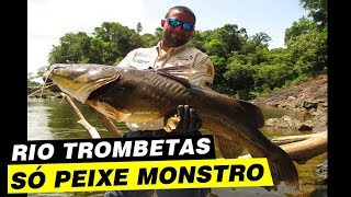 SÓ PEIXE MONSTRO NO RIO TROMBETAS [upl. by Syst]