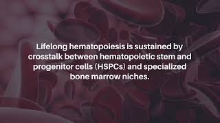 Case for Inflammatory Memory for Hematopoietic Stem and Progenitor Cells in AML Niche  Oncotarget [upl. by Bijan]