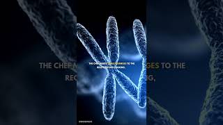 What is RNA Editing  genetics biology dna rna [upl. by Aivul960]