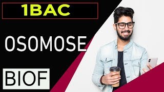 svt 1bac français international maroc plasmolyse et turgescence et osmose [upl. by Etnohs998]