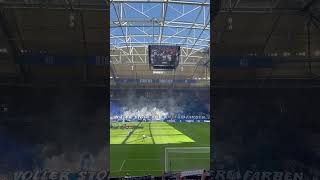 Schalke Choreo gegen Hansa Rostock 11052024 [upl. by Assiral]