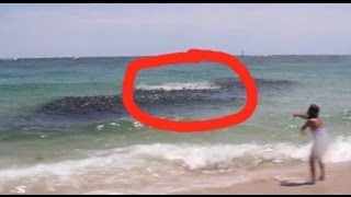 Mysterious Sea Creatures CAUGHT ON CAMERA [upl. by Tnirb511]