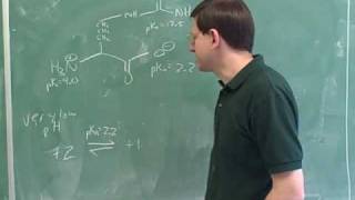 Introduction to amino acids and peptides 7 [upl. by Shewchuk]