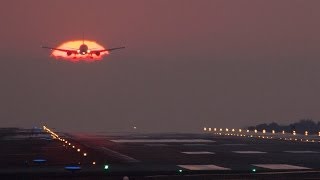 阿蘇くまもと空港夕陽の奇跡 全国から航空マニア大挙集結 The setting sun and Asokumamoto airport [upl. by Spanos402]