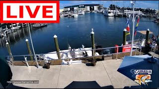 Gasparilla Marina  Live Stream  Englewood  Placida Florida  Gulf Coast  Fuel Dock Cameras [upl. by Hartfield]