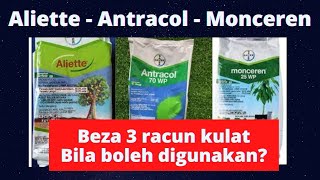 Sifu Durian BAB 87  White Oil Aliette Monceren amp Antracol  Racun Kulat Utk Durian [upl. by Katey]