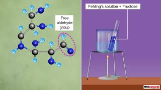 Reducing and Non Reducing Sugars [upl. by Kobe]