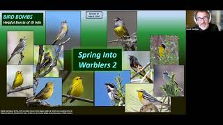 Bird Bombs  Spring Into Warblers 2 MAY 2024 [upl. by Tammany]