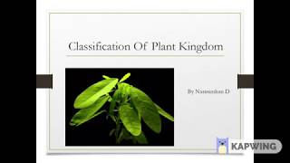 Difference Between Actinides And Lanthanides  Class 12  Easy Explanation  Chemistry [upl. by Eryt]