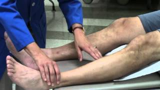 Peripheral vascular system assessment [upl. by Rimaj]