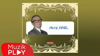 Avni Anıl  Yalan Yalan Yıllar  Ne Yeşili Ne Siyahı Official Audio [upl. by Nired]