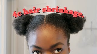 TOP 3 STYLES FOR 4C HAIR SHRINKAGE [upl. by Elroy]