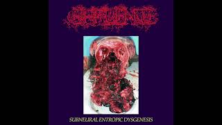 Effluence  Subneural Entropic Dysgenesis Full EP [upl. by Fawcett]