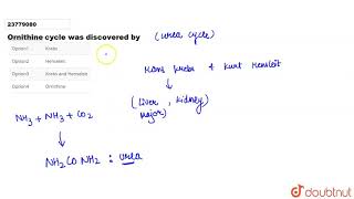 Ornithine cycle was discovered by [upl. by Helbonia762]