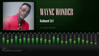 Wayne Wonder  Bashment Girl Joy Ride Riddim HD [upl. by Aneekan]