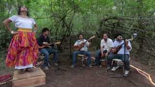 Los Cojolites  Son Sin Fin Live Pickathon 2012 [upl. by Siahc]